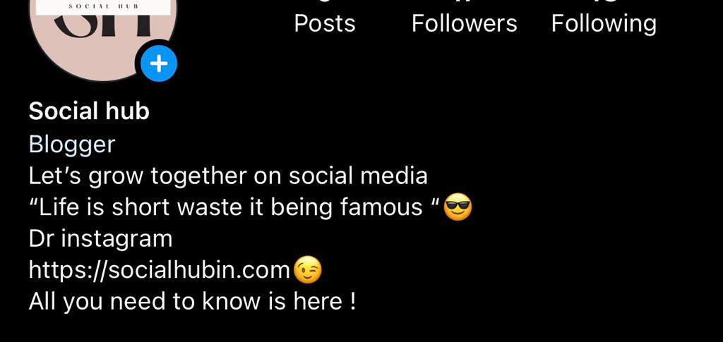 How to grow on Instagram impressive bio