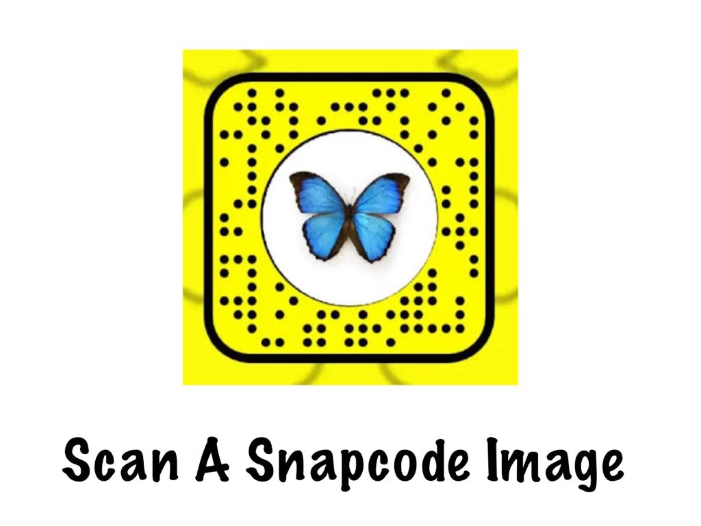 Scanning a snapcode Image