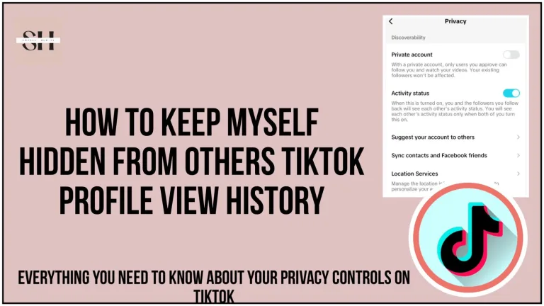 How To Hide Yourself From Others TikTok Profile View History