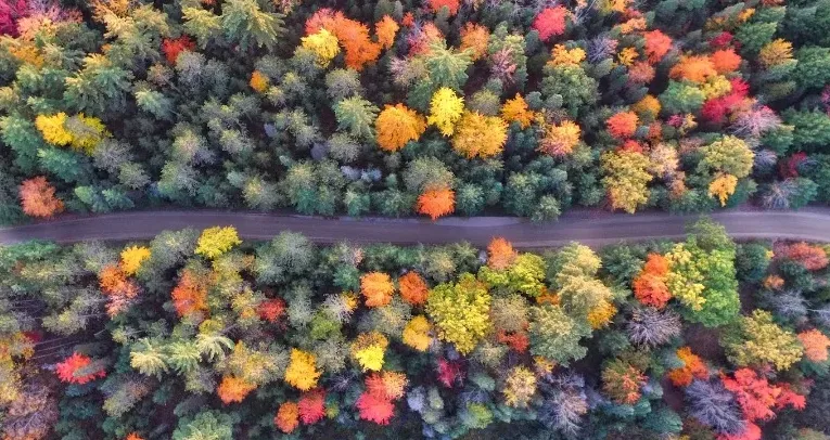 cute fall Facebook cover photos