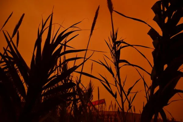 silhouettes fall Facebook cover images