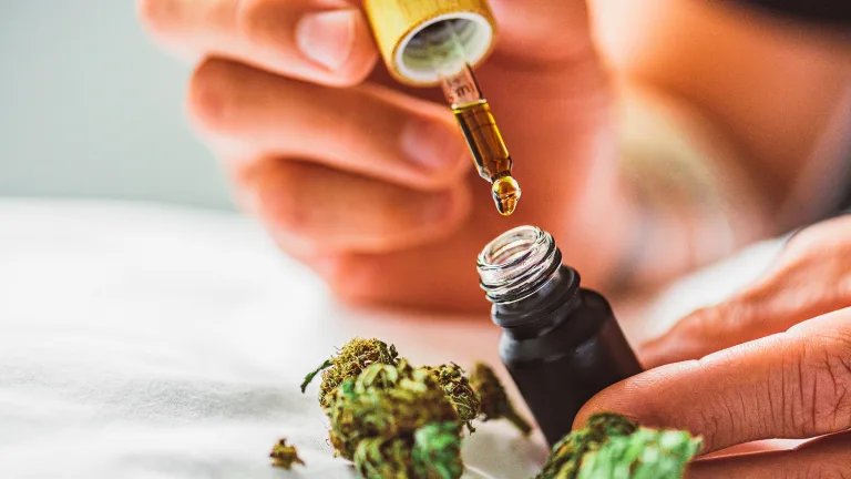 Exploring Different Types of CBD Products: Oils, Edibles, and Topicals