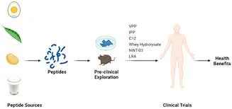 The New Wave of Peptides: What’s Changing the Health Landscape?