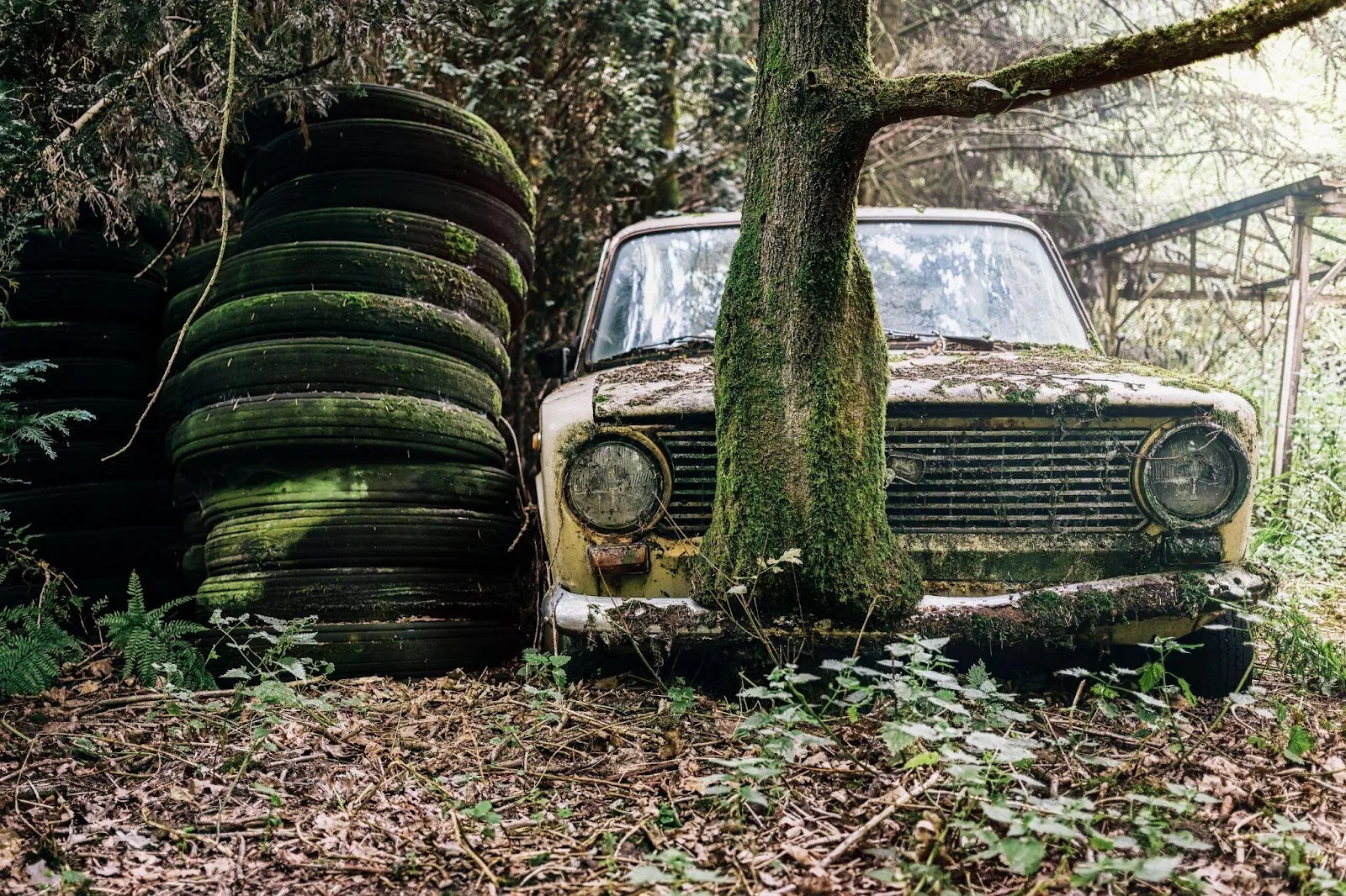 Tyre Scrap for Sale: Bulk Recycling & Resale Opportunities for Resellers