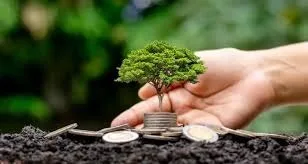 From Carbon Footprint to Green Reward Role of MyGreenBucks