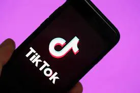 The Role of TikTok Followers in Rapid Creator Recognition