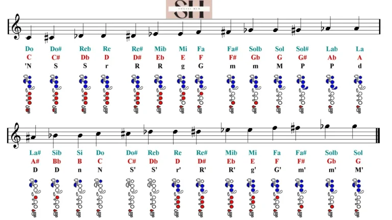 Flute Notes Chart