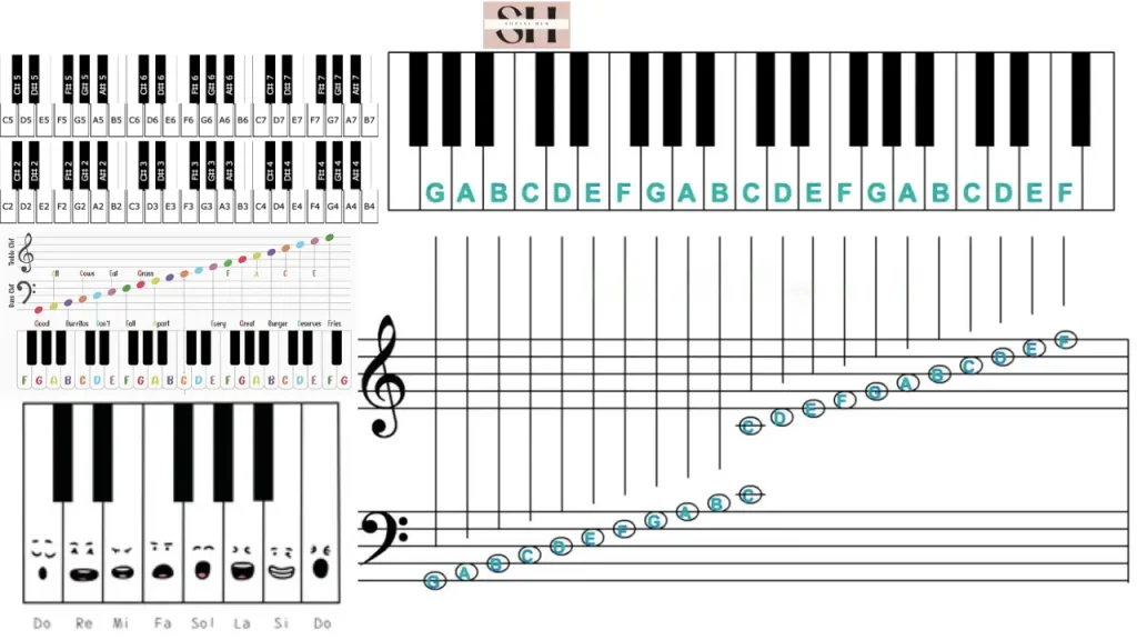 Piano Notes Labeled