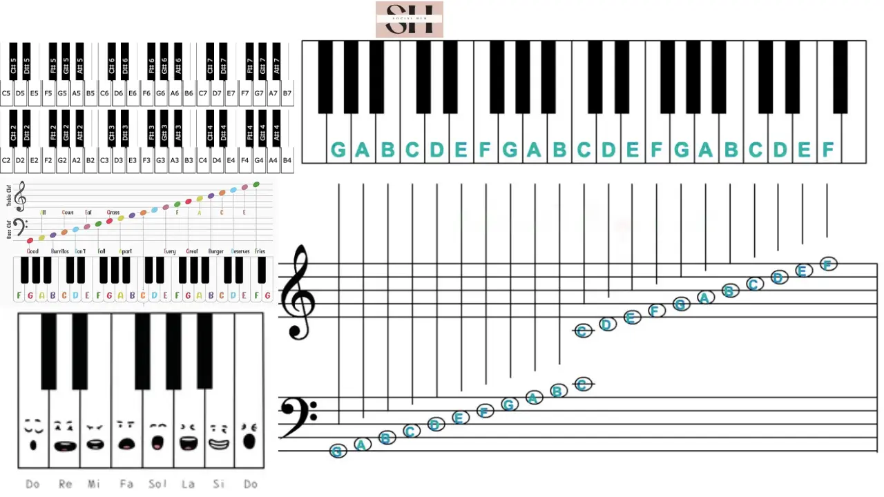 Piano Notes Labeled