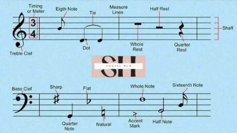Types of Music Notes