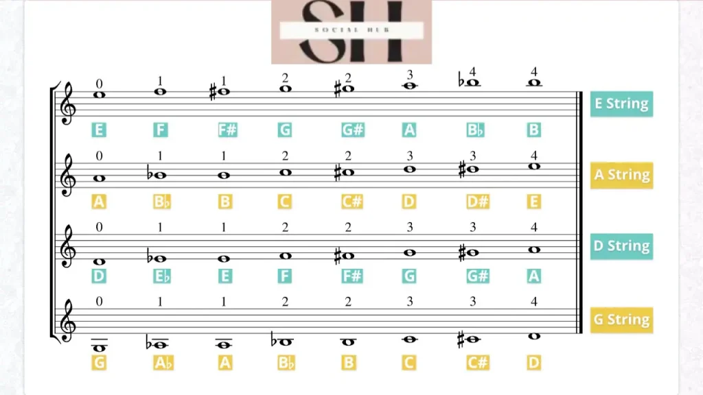 Violin Notes Chart